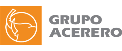 Grupo Acerero
